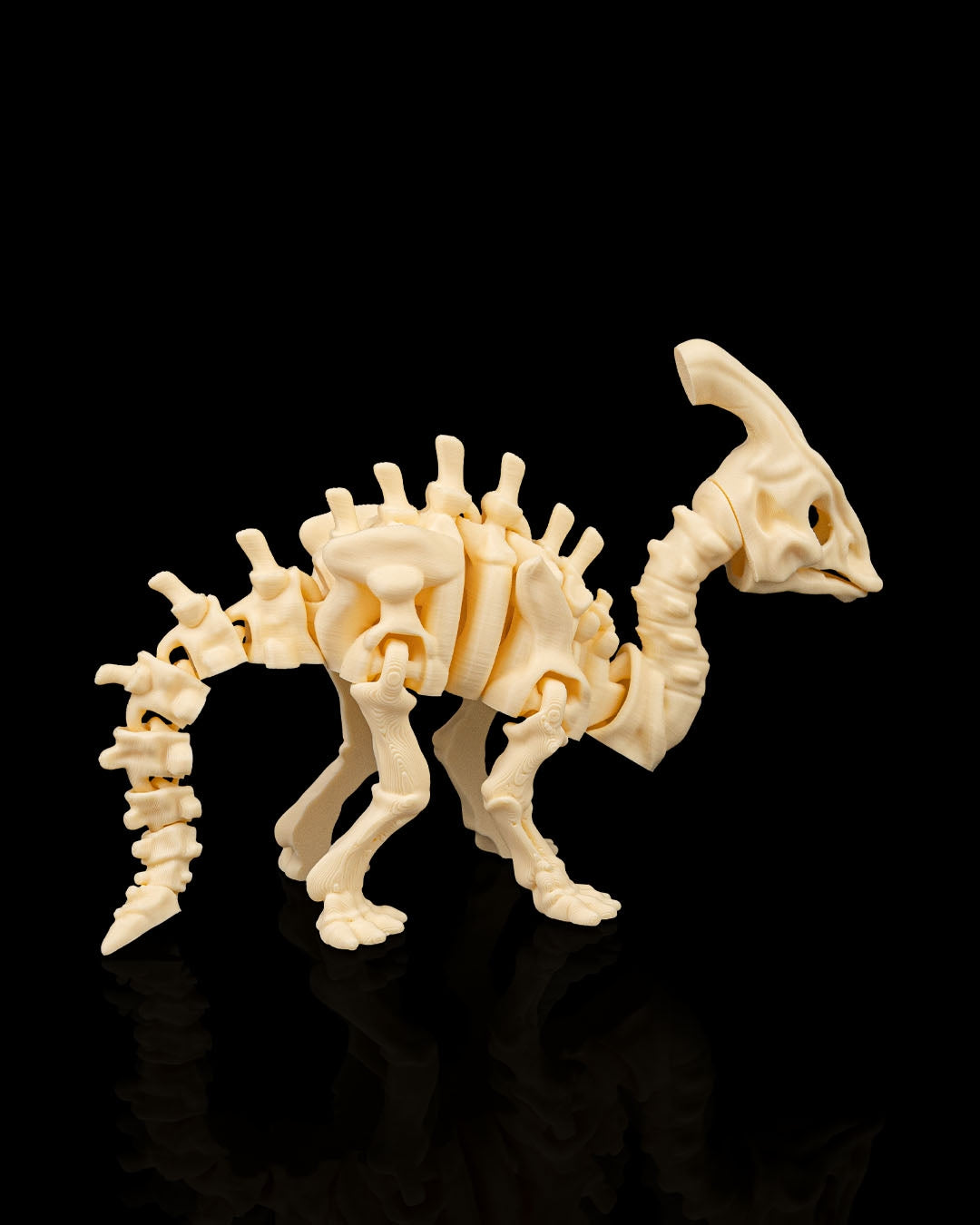 ParaBone – Articulated Parasaurolophus Skeleton