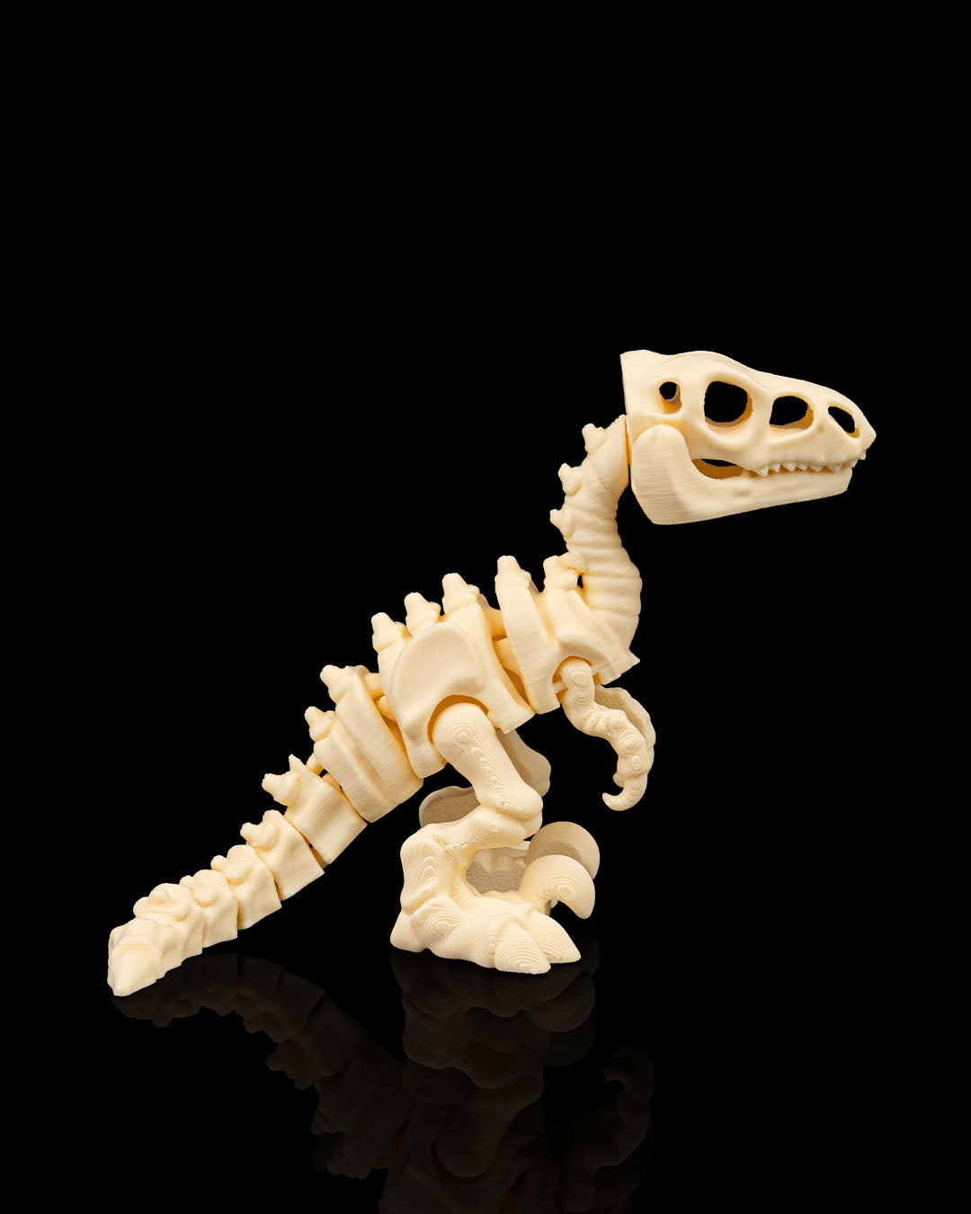 VelociBone – Articulated Velociraptor Skeleton