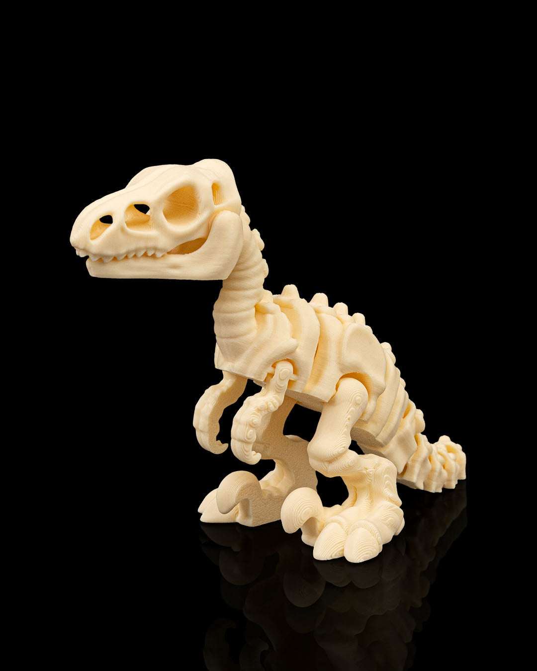 VelociBone – Articulated Velociraptor Skeleton