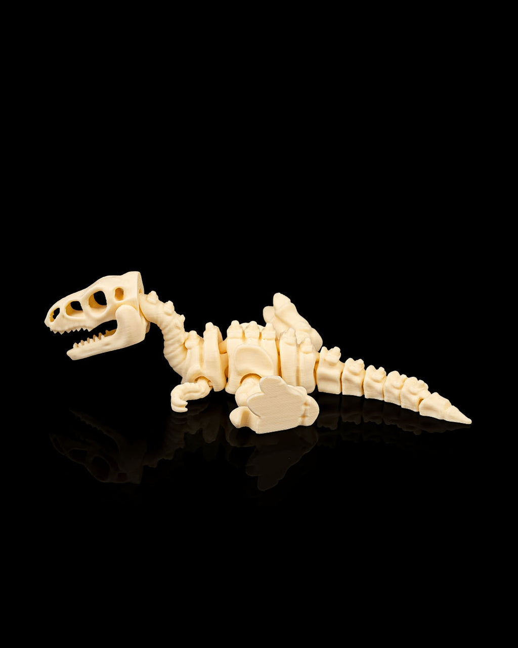 VelociBone – Articulated Velociraptor Skeleton
