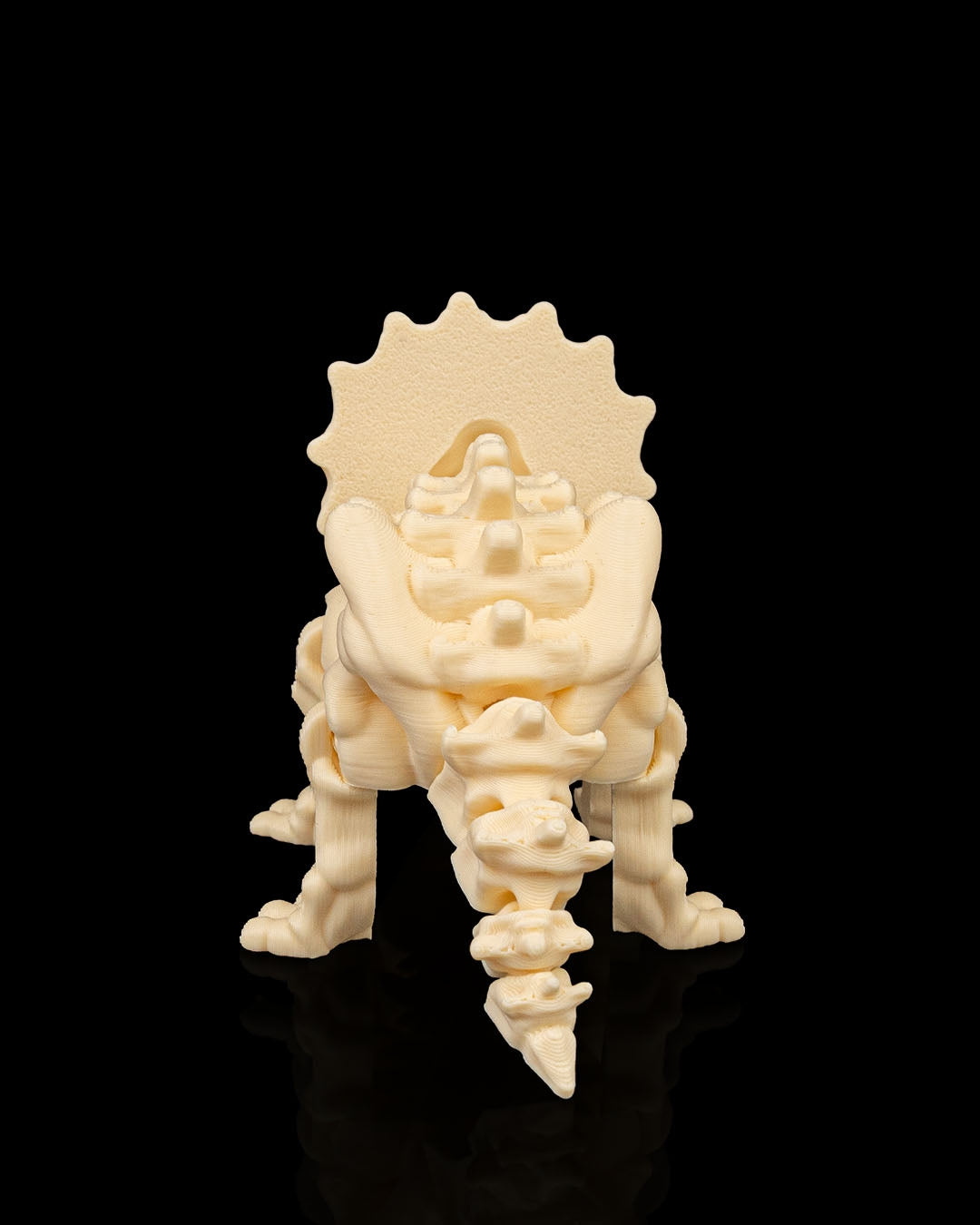 TriceraBone – Articulated Triceratops Skeleton