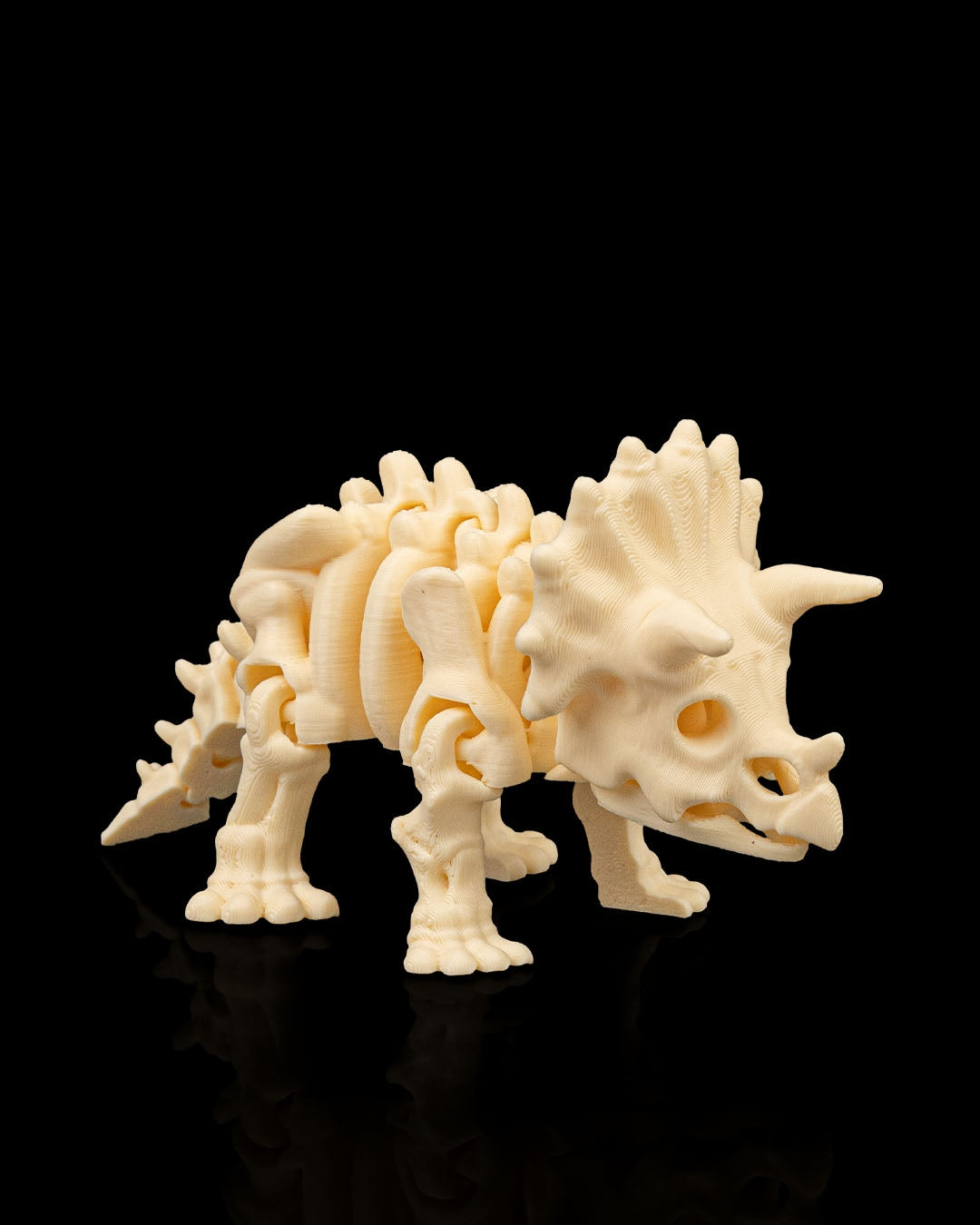 TriceraBone – Articulated Triceratops Skeleton