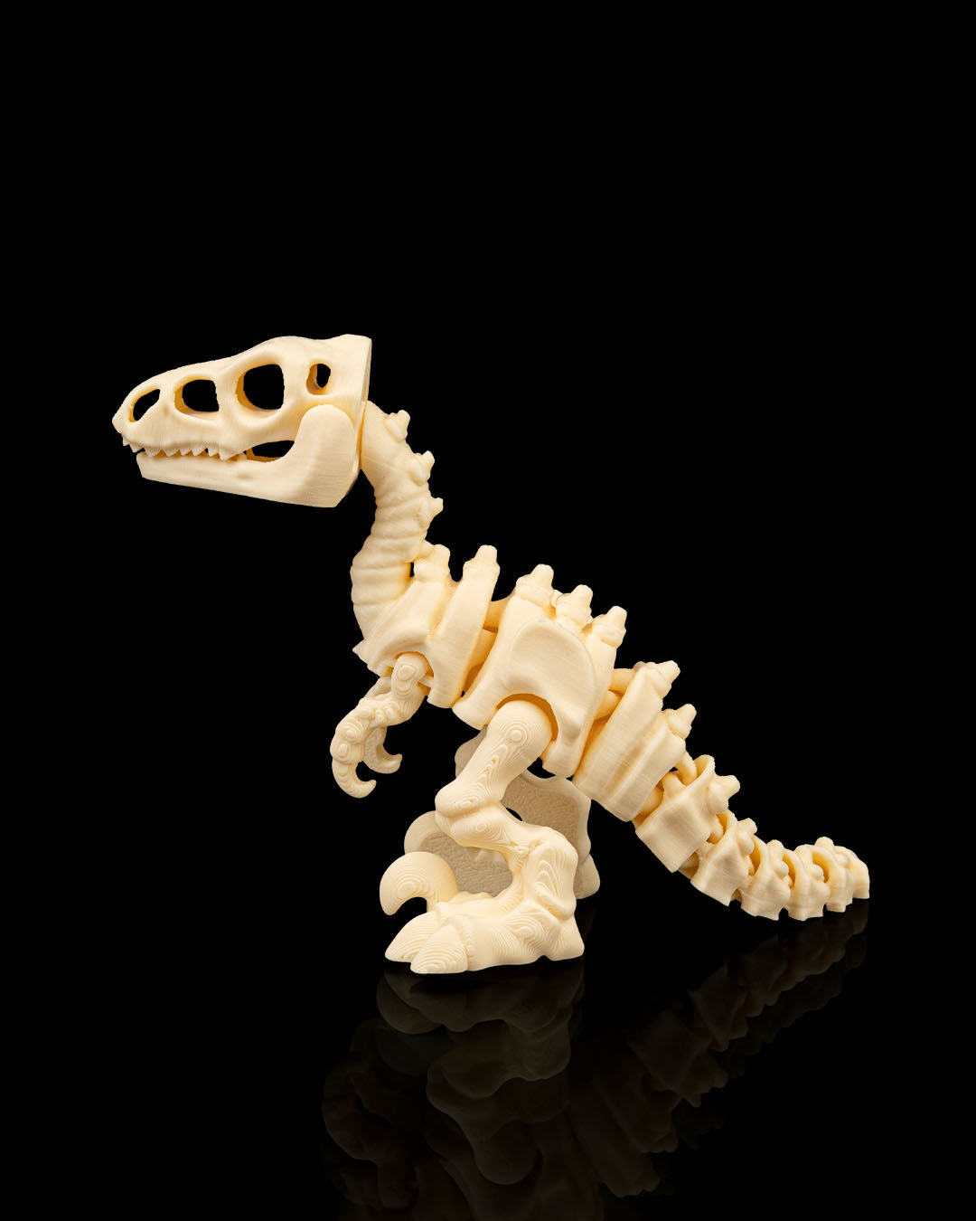 VelociBone – Articulated Velociraptor Skeleton