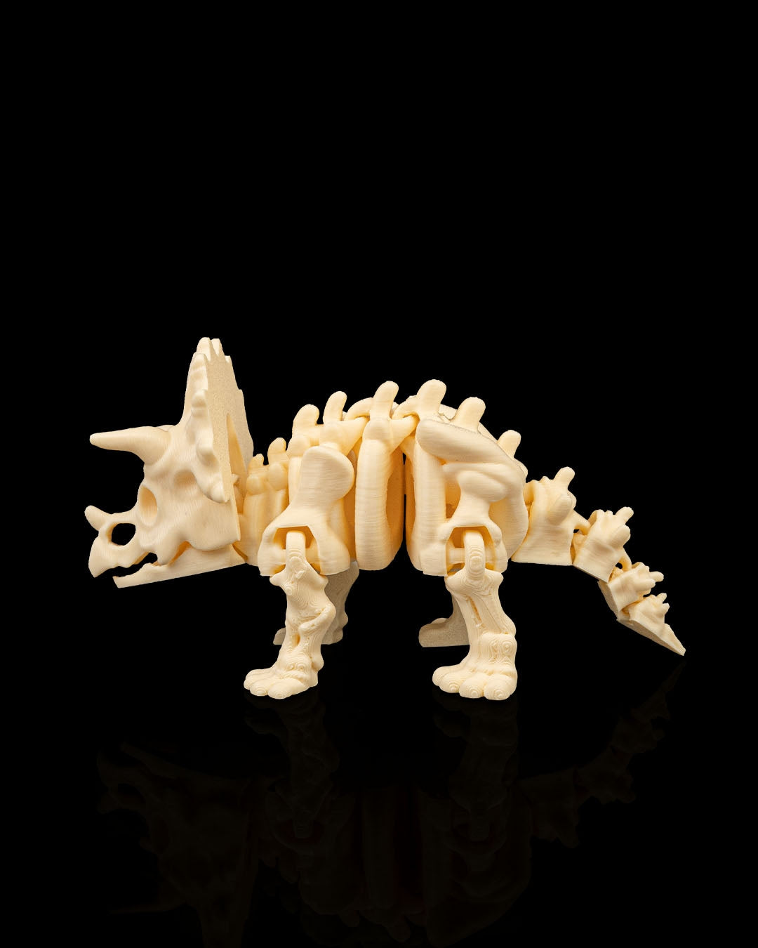 TriceraBone – Articulated Triceratops Skeleton