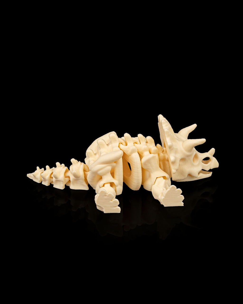 TriceraBone – Articulated Triceratops Skeleton
