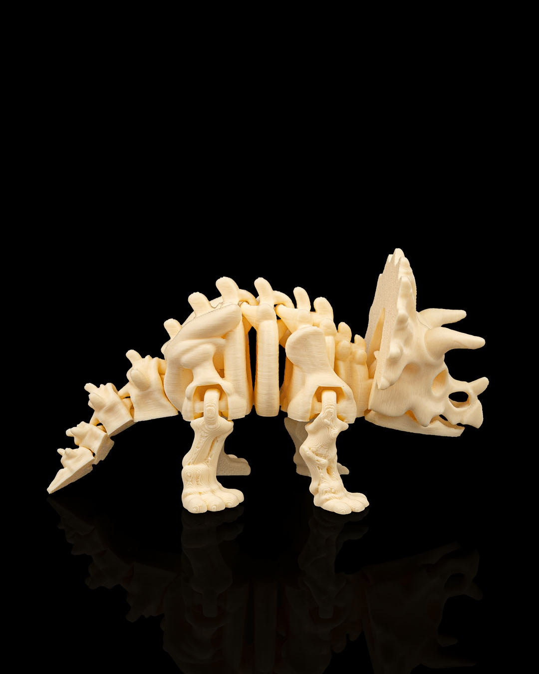 TriceraBone – Articulated Triceratops Skeleton