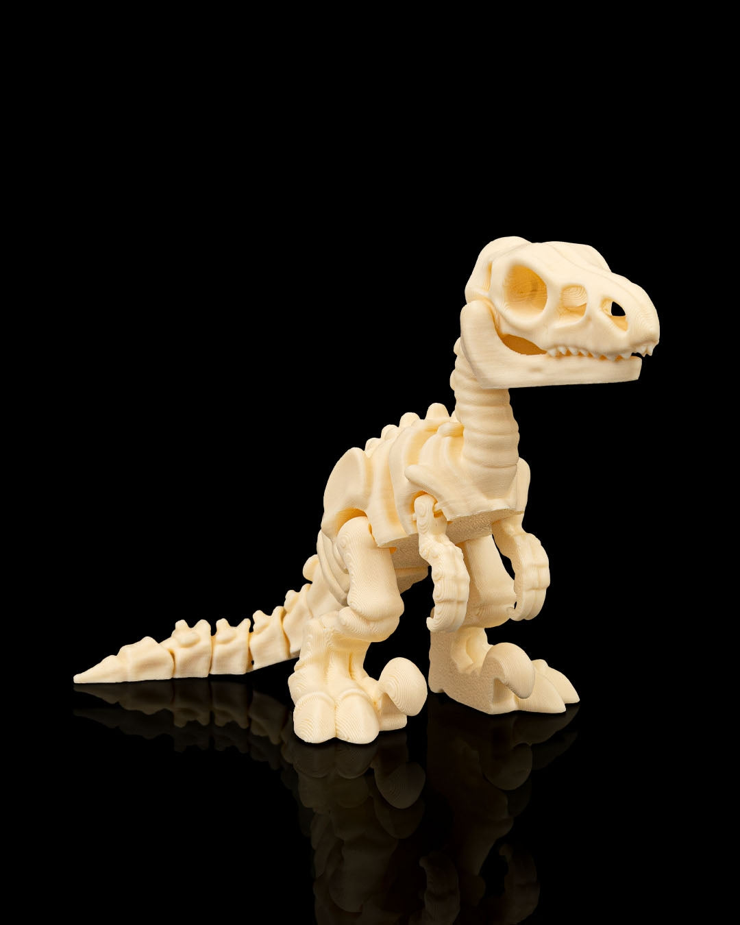 VelociBone – Articulated Velociraptor Skeleton