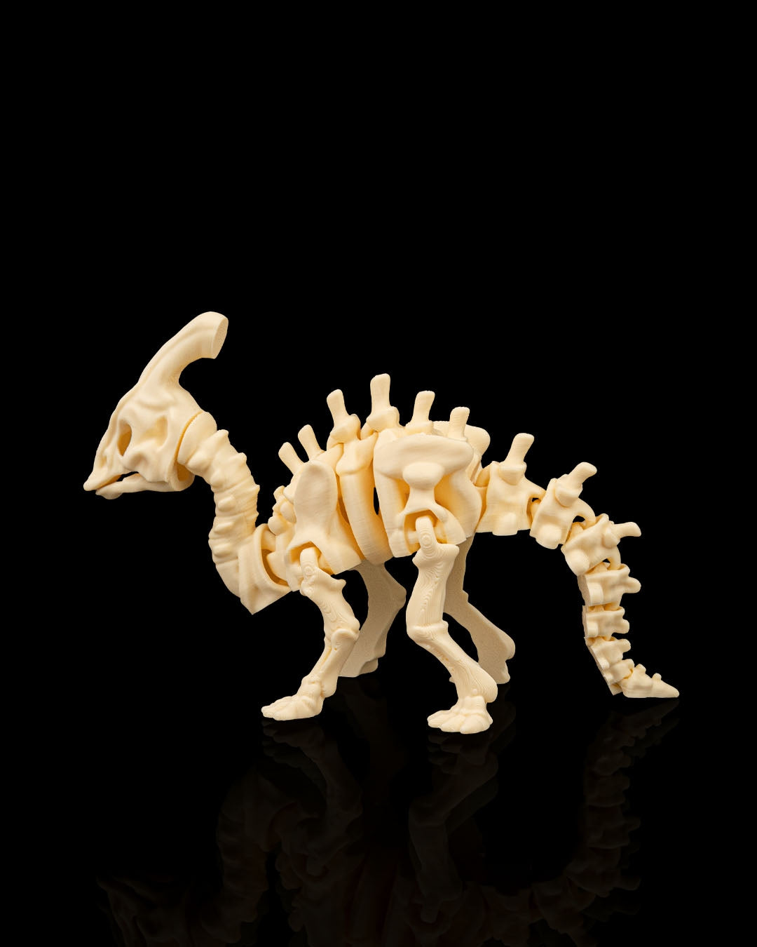 ParaBone – Articulated Parasaurolophus Skeleton
