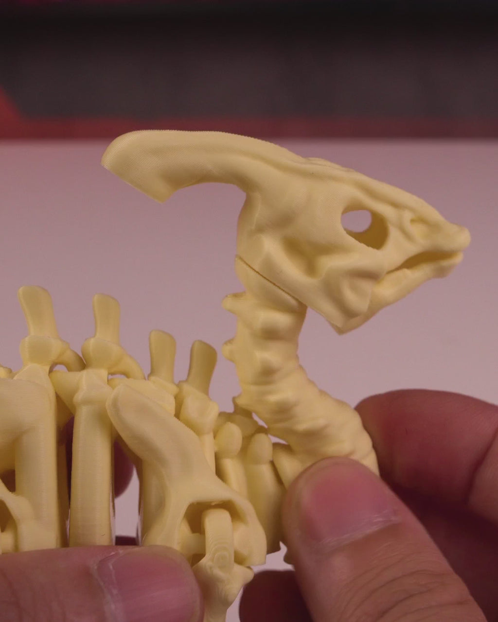 ParaBone – Articulated Parasaurolophus Skeleton
